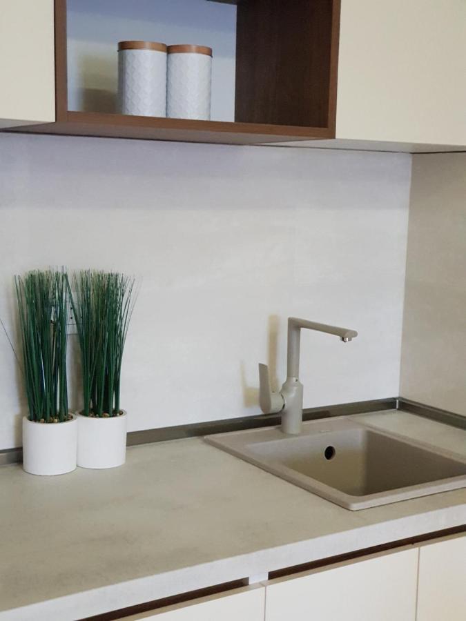 Apartman Vivo City Central 波德戈里察 外观 照片